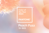 Descubre el nuevo color Pantone 2024: Dulzura y elegancia en Peach Fuzz con qiiip