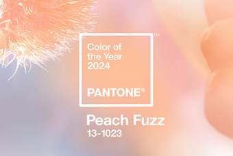 Descubre el nuevo color Pantone 2024: Dulzura y elegancia en Peach Fuzz con qiiip