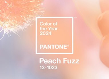 Descubre el nuevo color Pantone 2024: Dulzura y elegancia en Peach Fuzz con qiiip