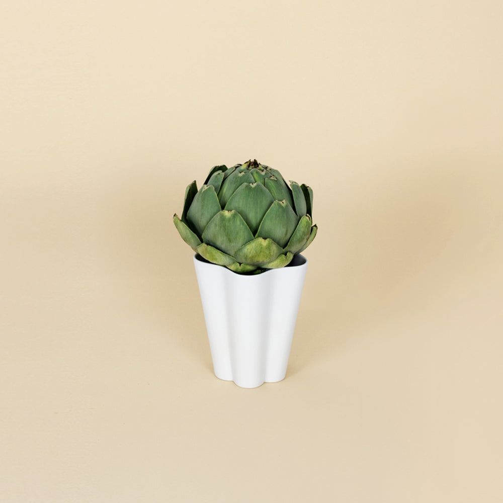 Jarrón S Iris Vase Hay