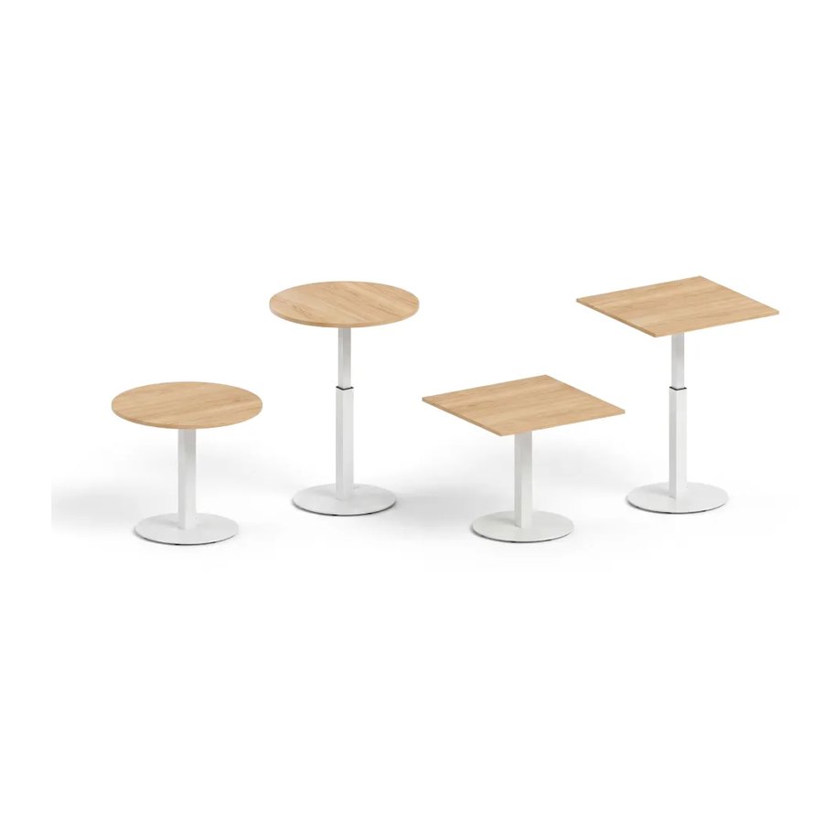 Sit-stand table de DVO